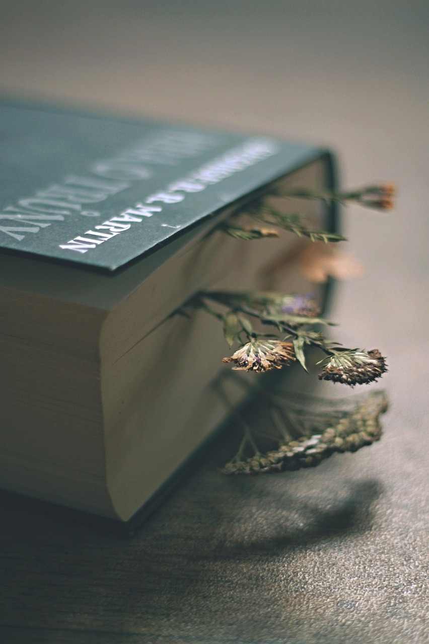 book, beautiful flowers, game of thrones, imagination, literature, flower background, reading, light, dried flowers, flower, flower wallpaper, pressed flowers, nature, emotion, dark, atmosphere